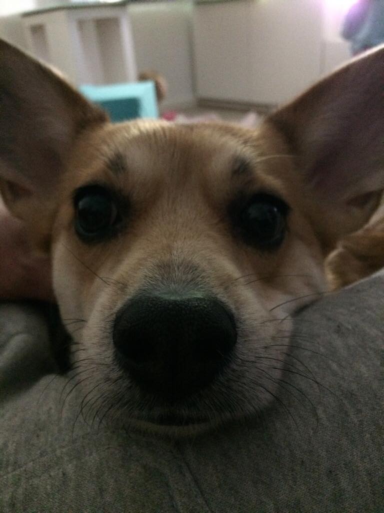 ImageUploadedByVau Foorumi1544731003.394944.jpg