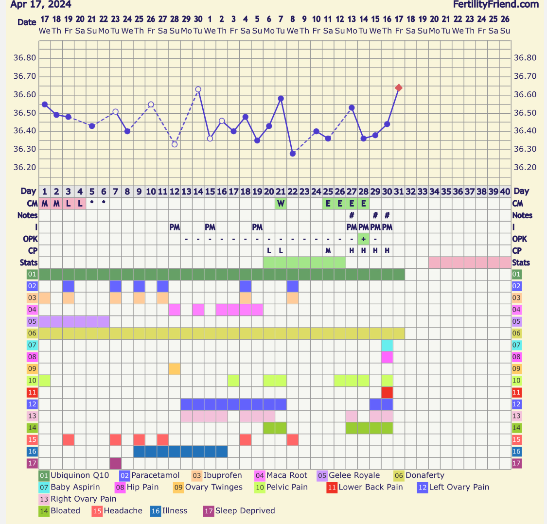 IMG_0038.jpeg