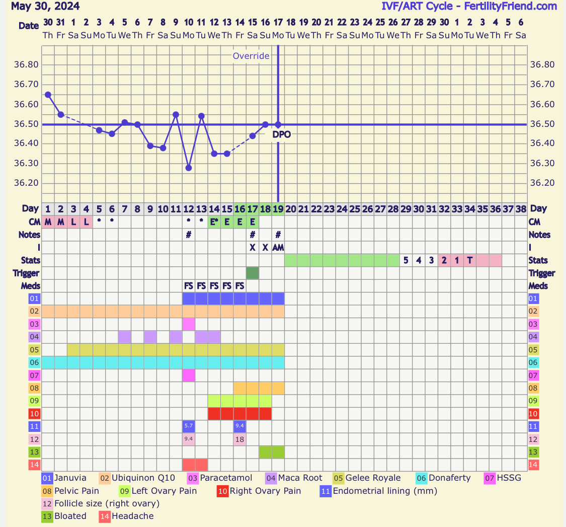 IMG_0373.jpeg