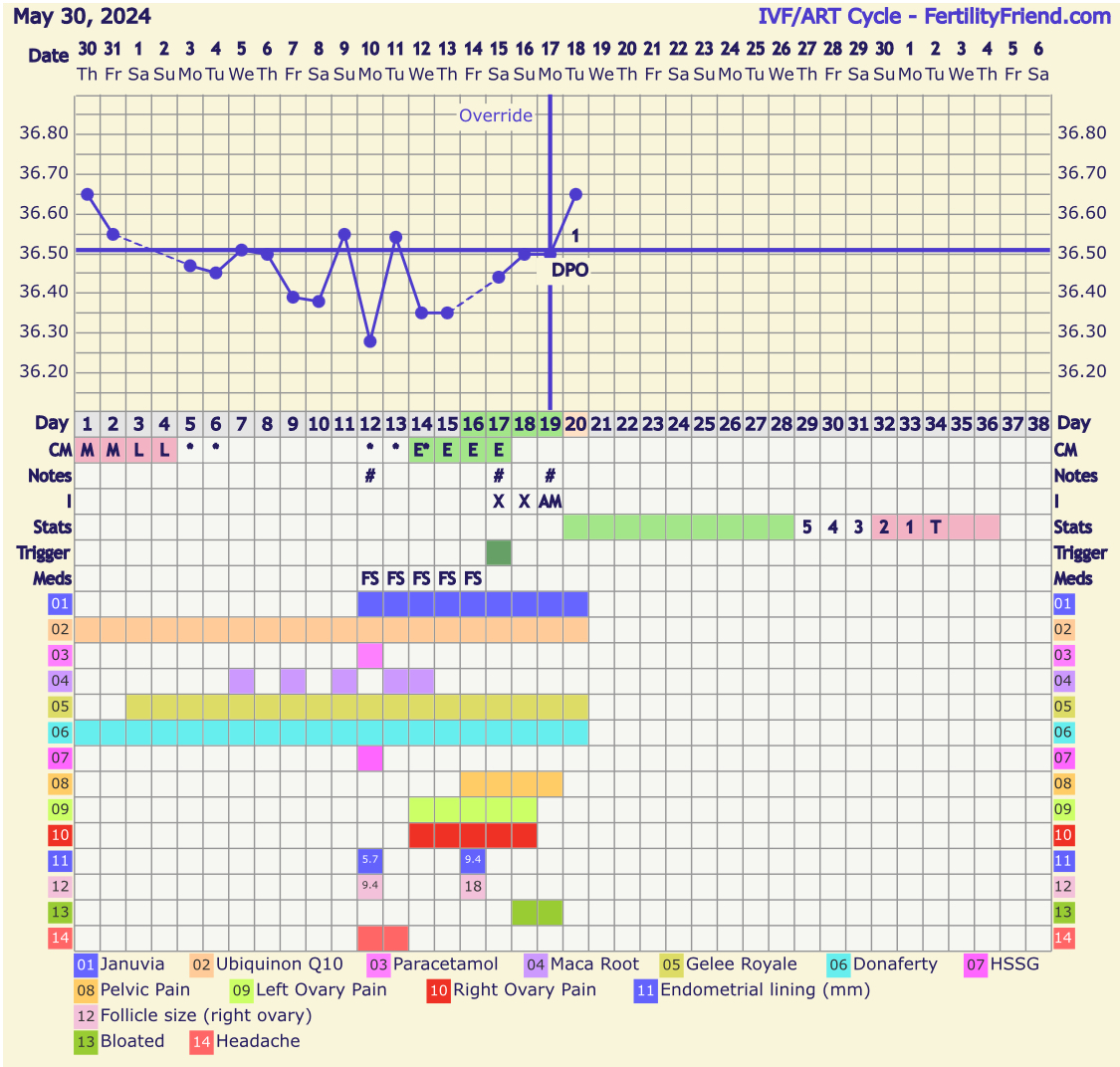 IMG_0385.jpeg