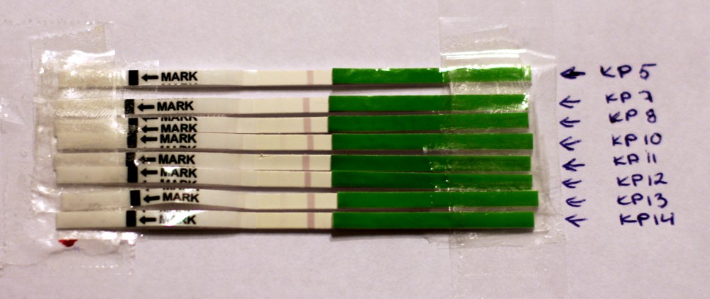 IMG_0627 – Kopio.JPG