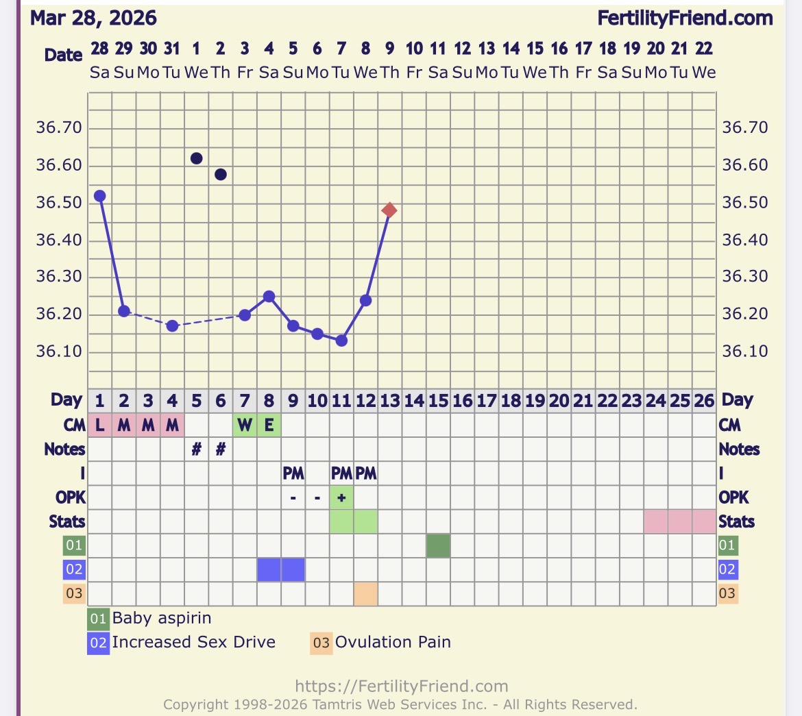 IMG_0848.jpeg