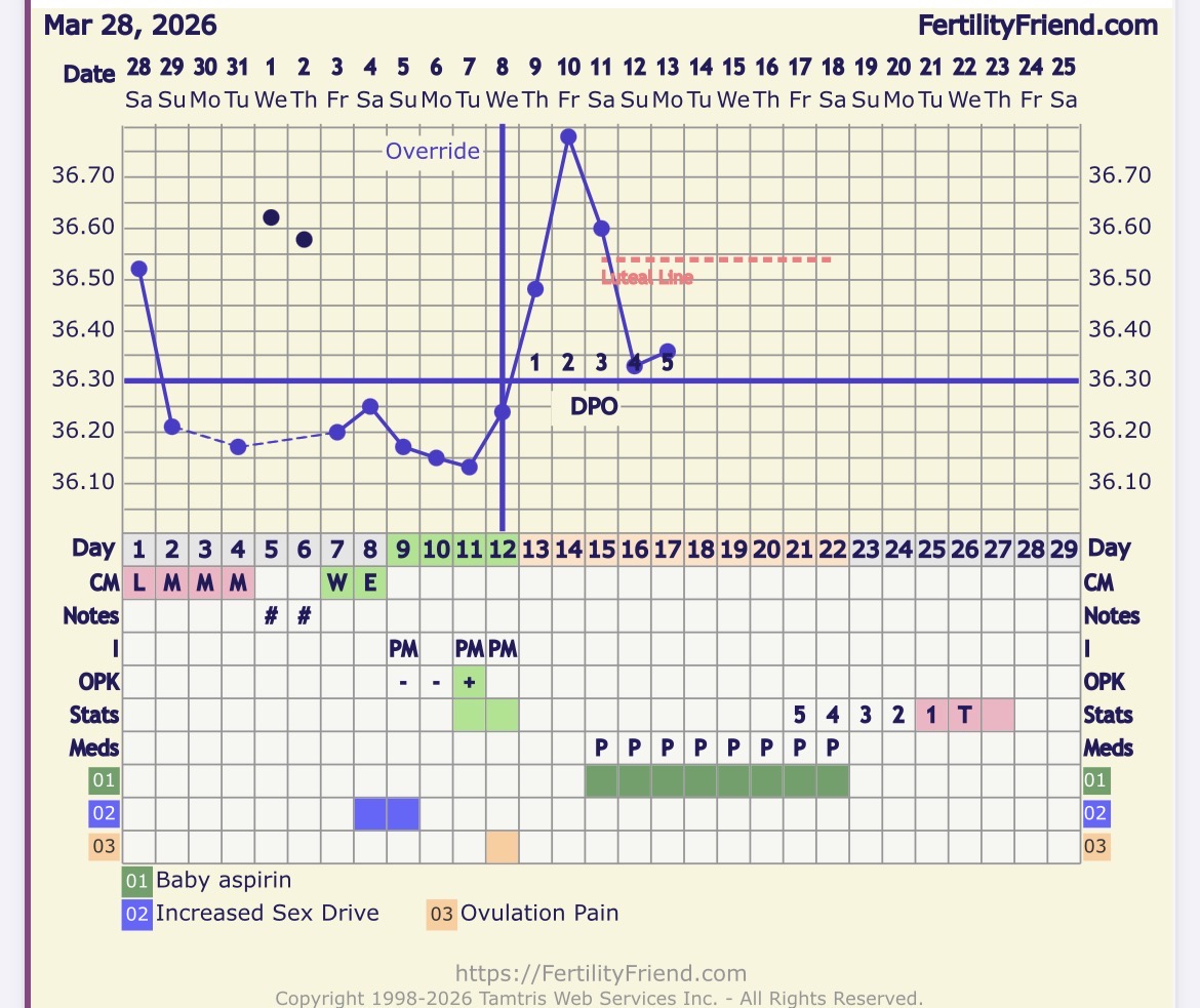 IMG_0923.jpeg
