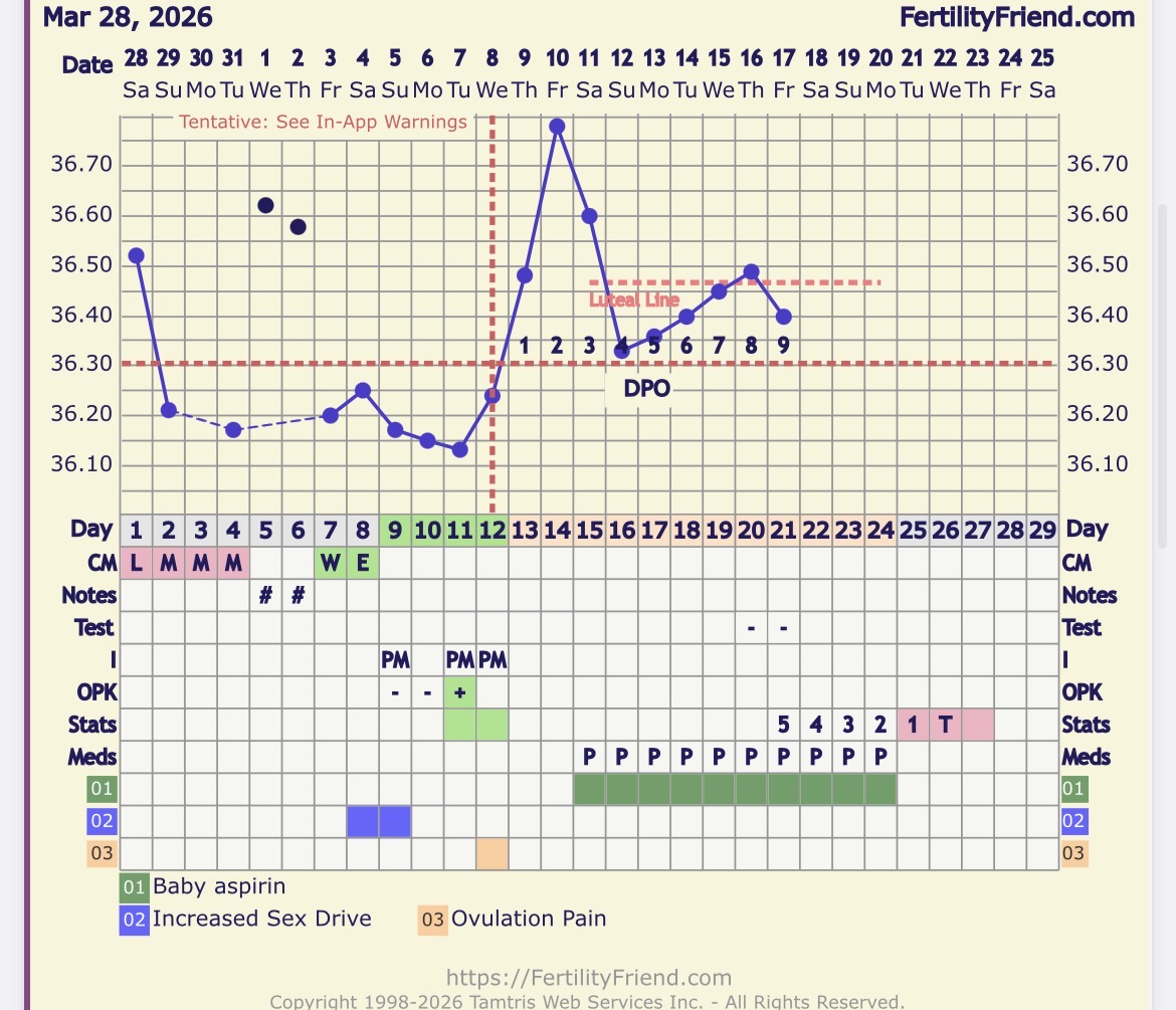 IMG_1020.jpeg