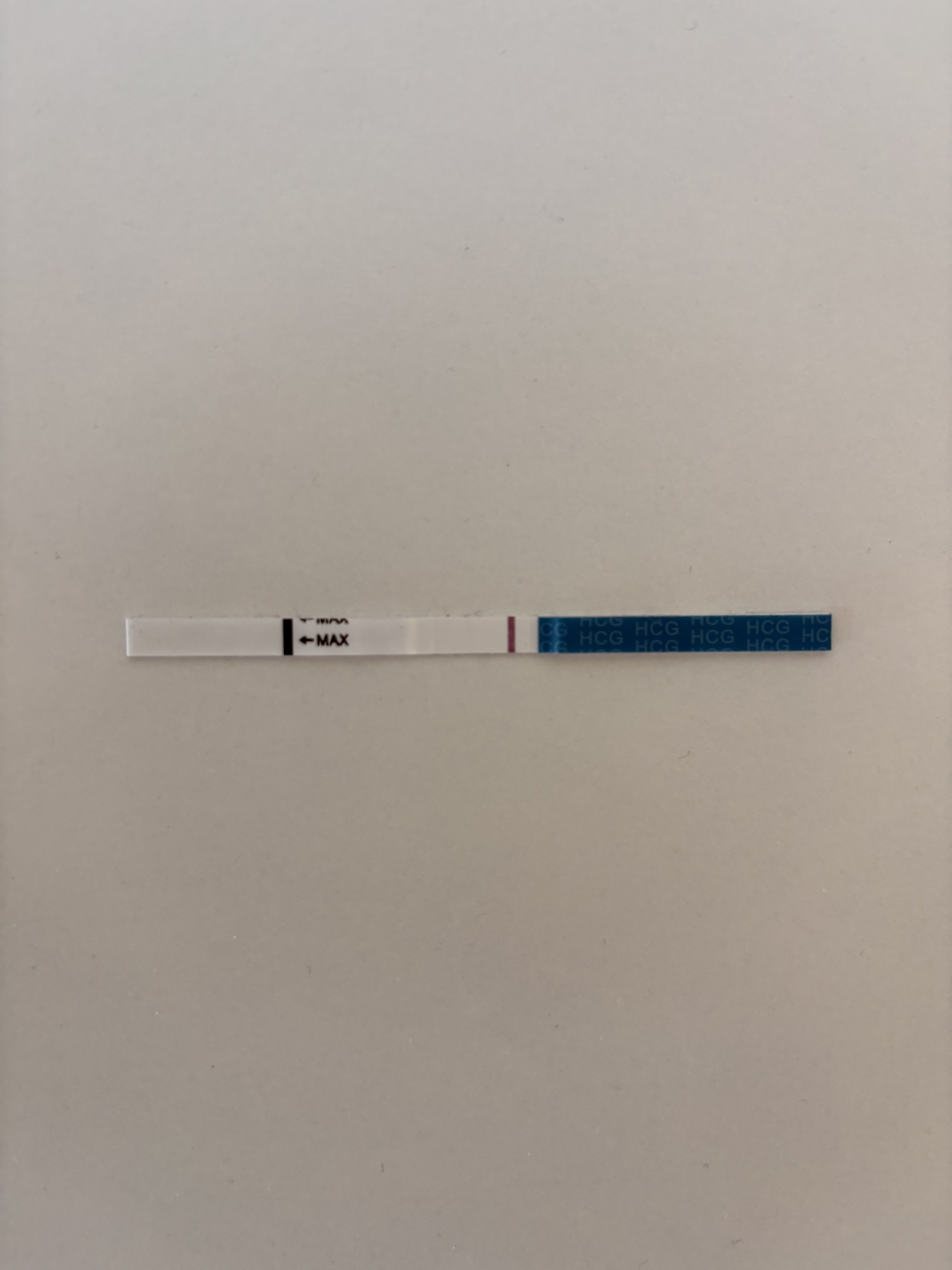 IMG_1313.jpeg