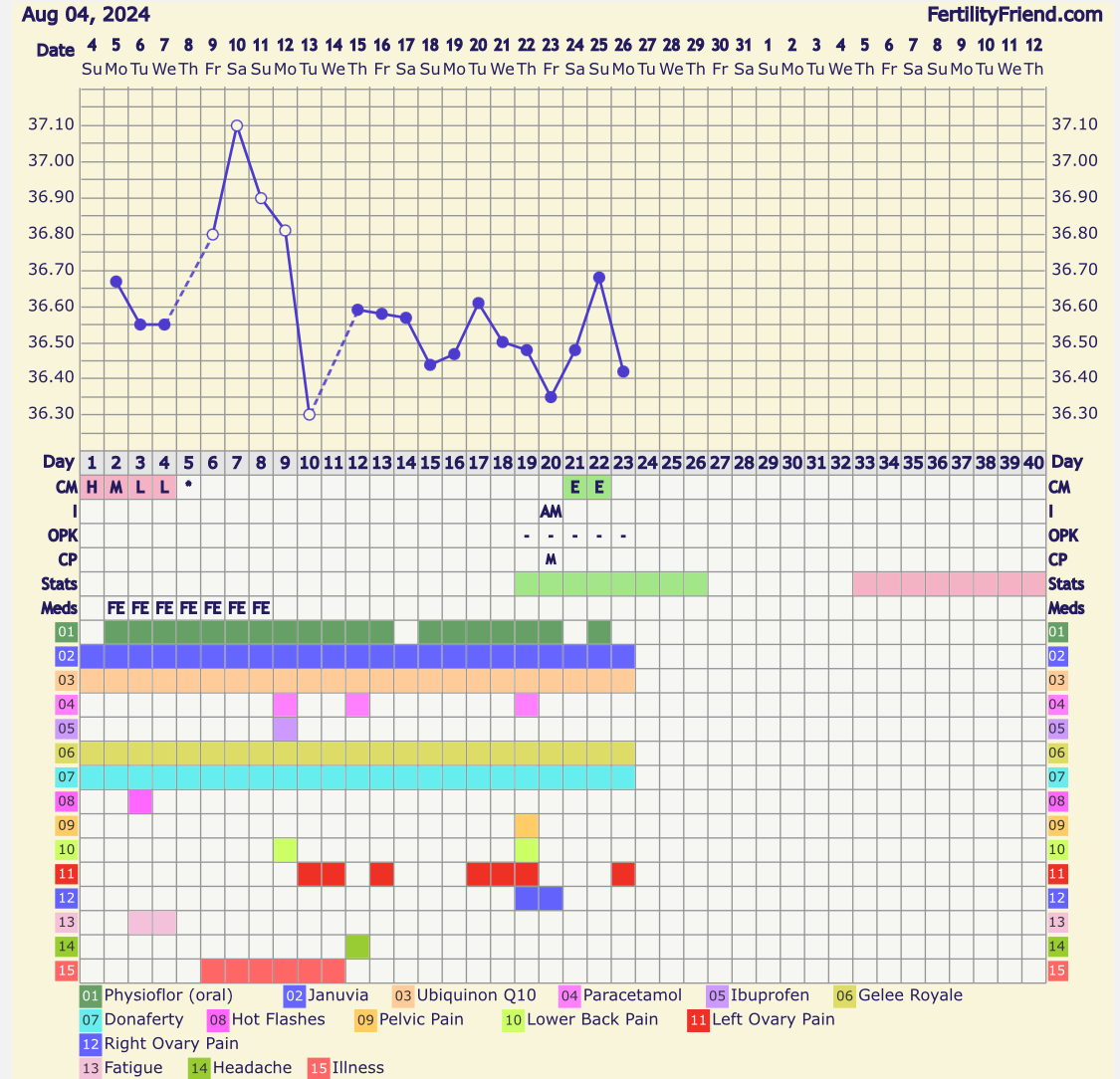 IMG_1382.jpeg