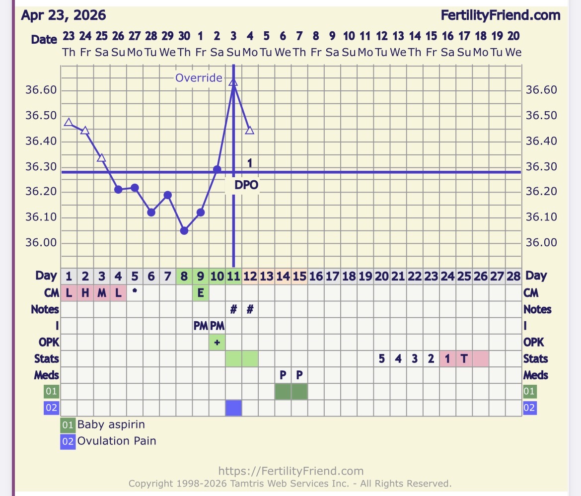 IMG_1403.jpeg