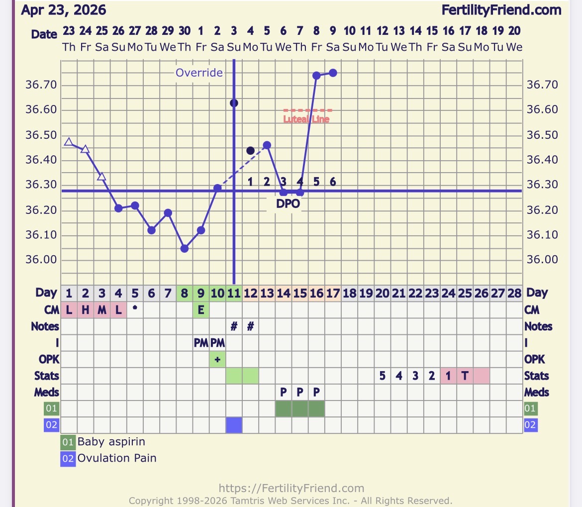 IMG_1555.jpeg