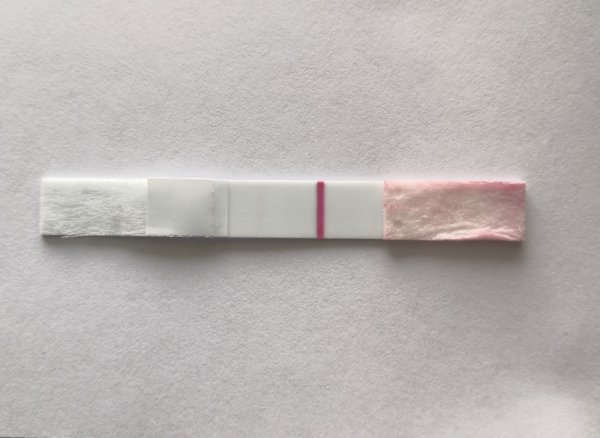 IMG_20200510_151322 (2).jpg