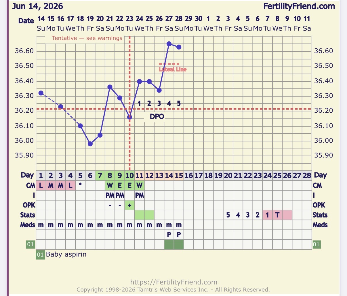 IMG_3239.jpeg