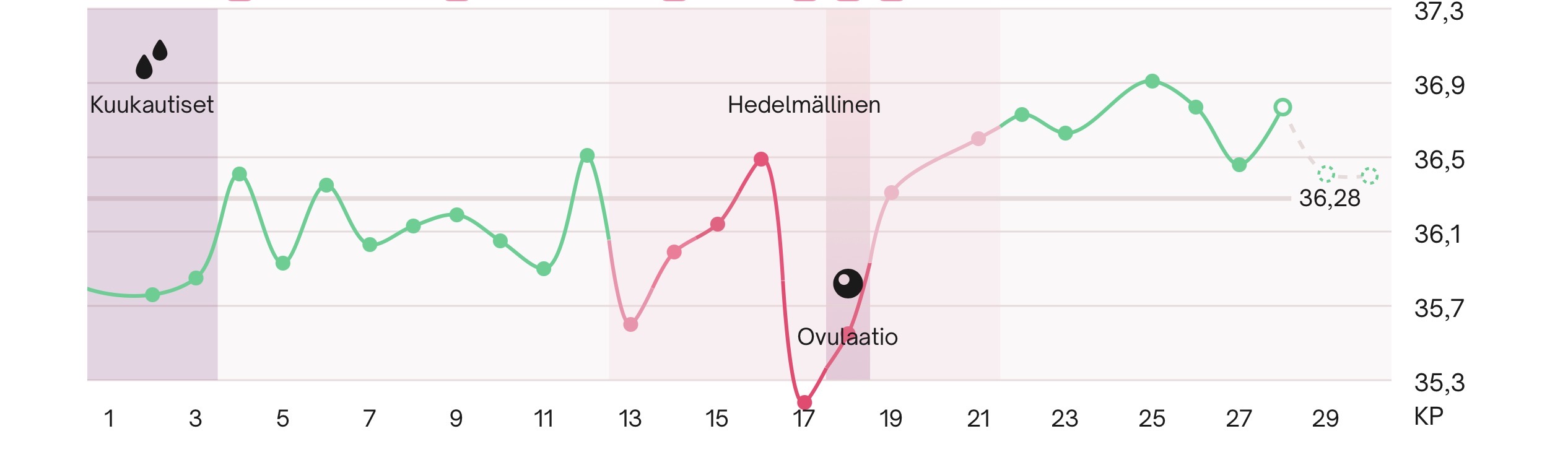 IMG_3500.jpeg