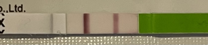 IMG_6044.jpeg