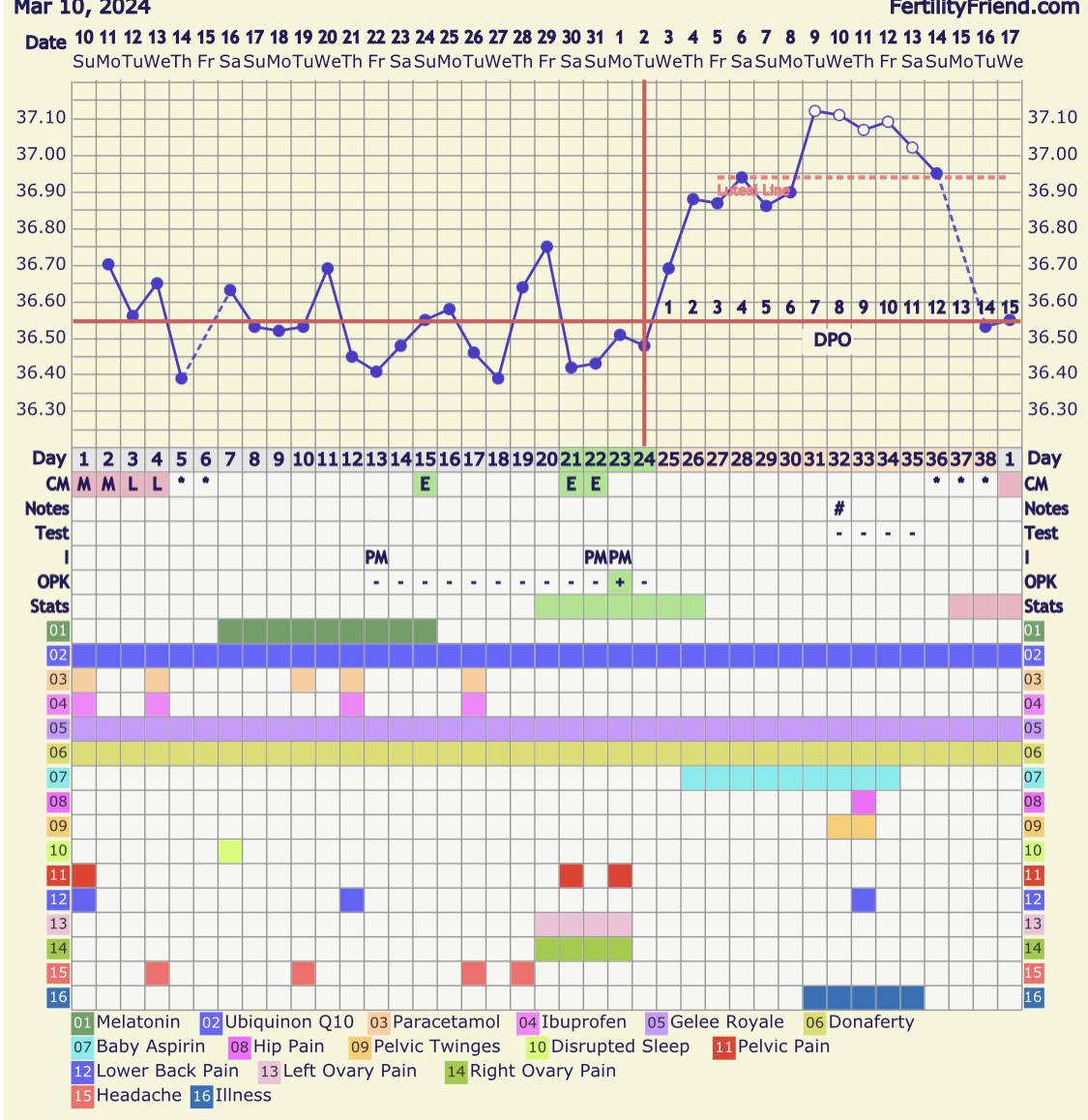 IMG_9733.jpeg
