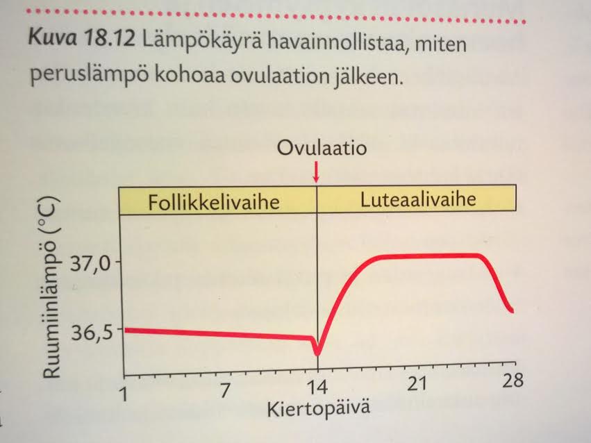 Lämpökäyrä.jpg