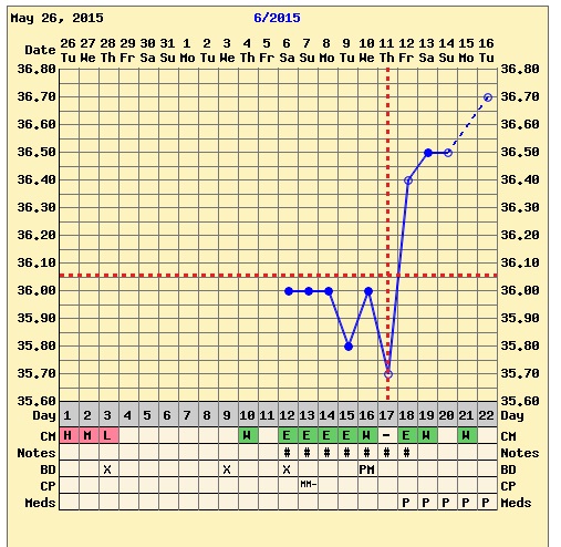 lämpökäyrä_kesäkuu 2015.jpg