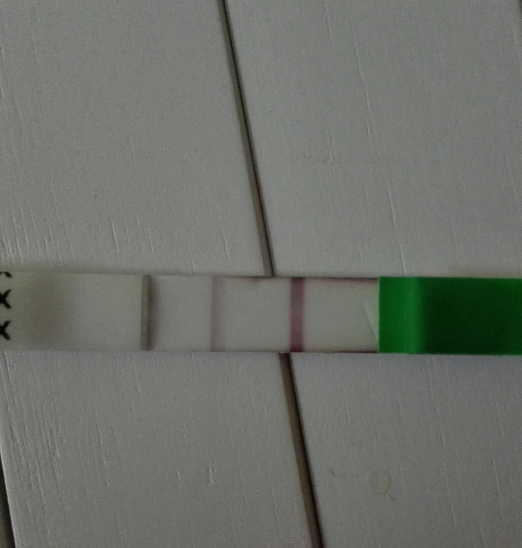 ovistesti 2 ti 16.6.jpg