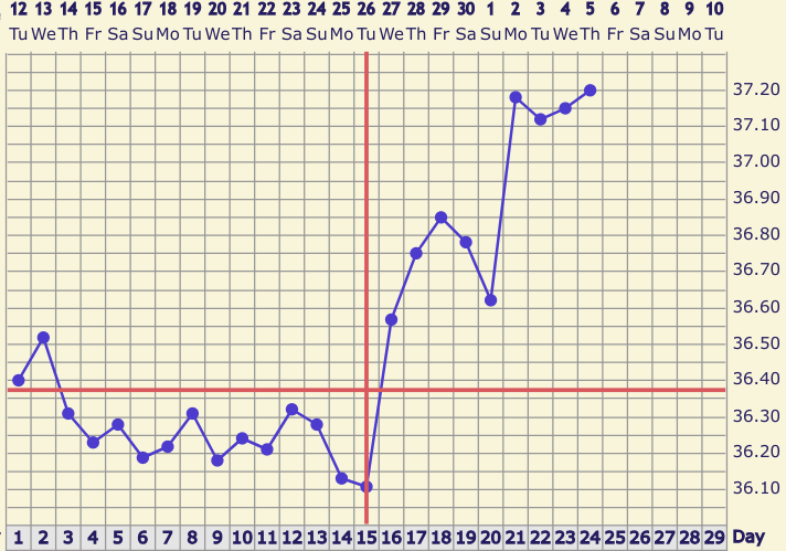 Screenshot 2024-12-05 08.01.12.png