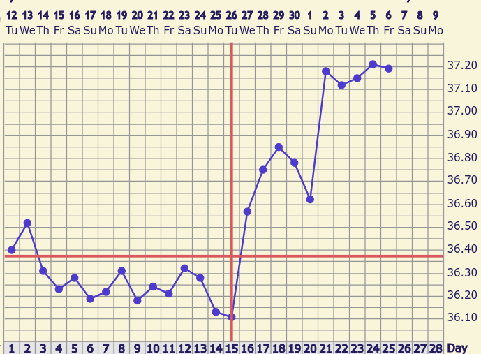 Screenshot 2024-12-06 08.08.27.png