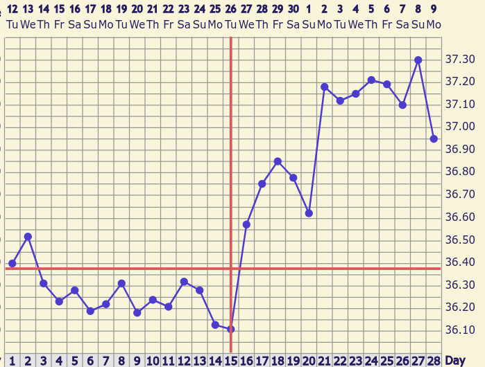 Screenshot 2024-12-09 17.55.10.png