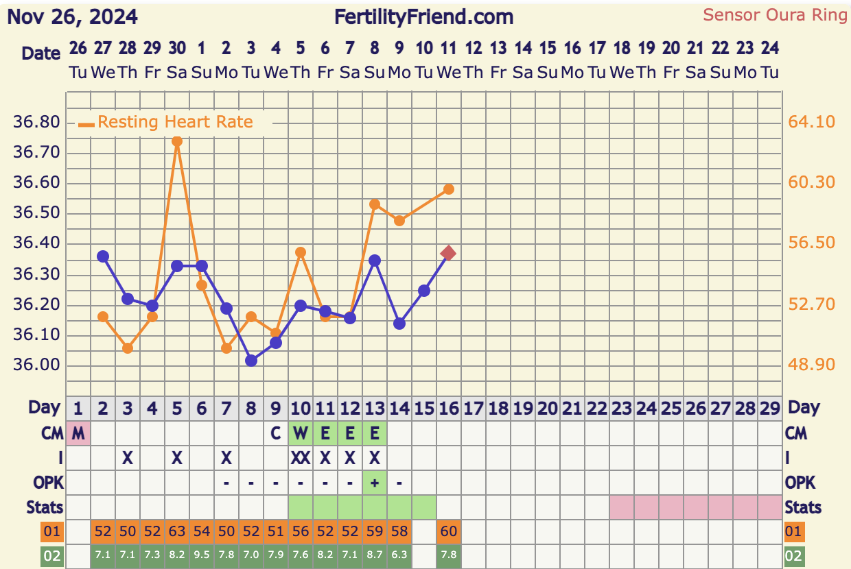 Screenshot 2024-12-11 at 8.24.11.png