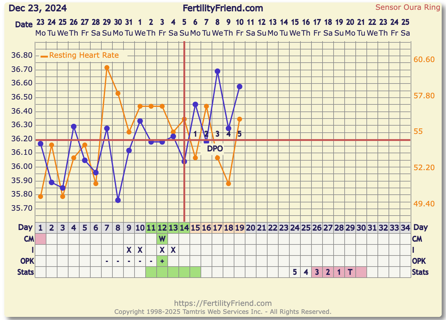 Screenshot 2025-01-10 at 9.24.24.png