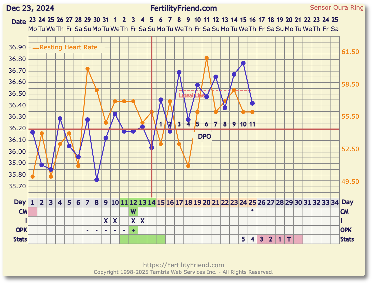 Screenshot 2025-01-16 at 8.29.28.png