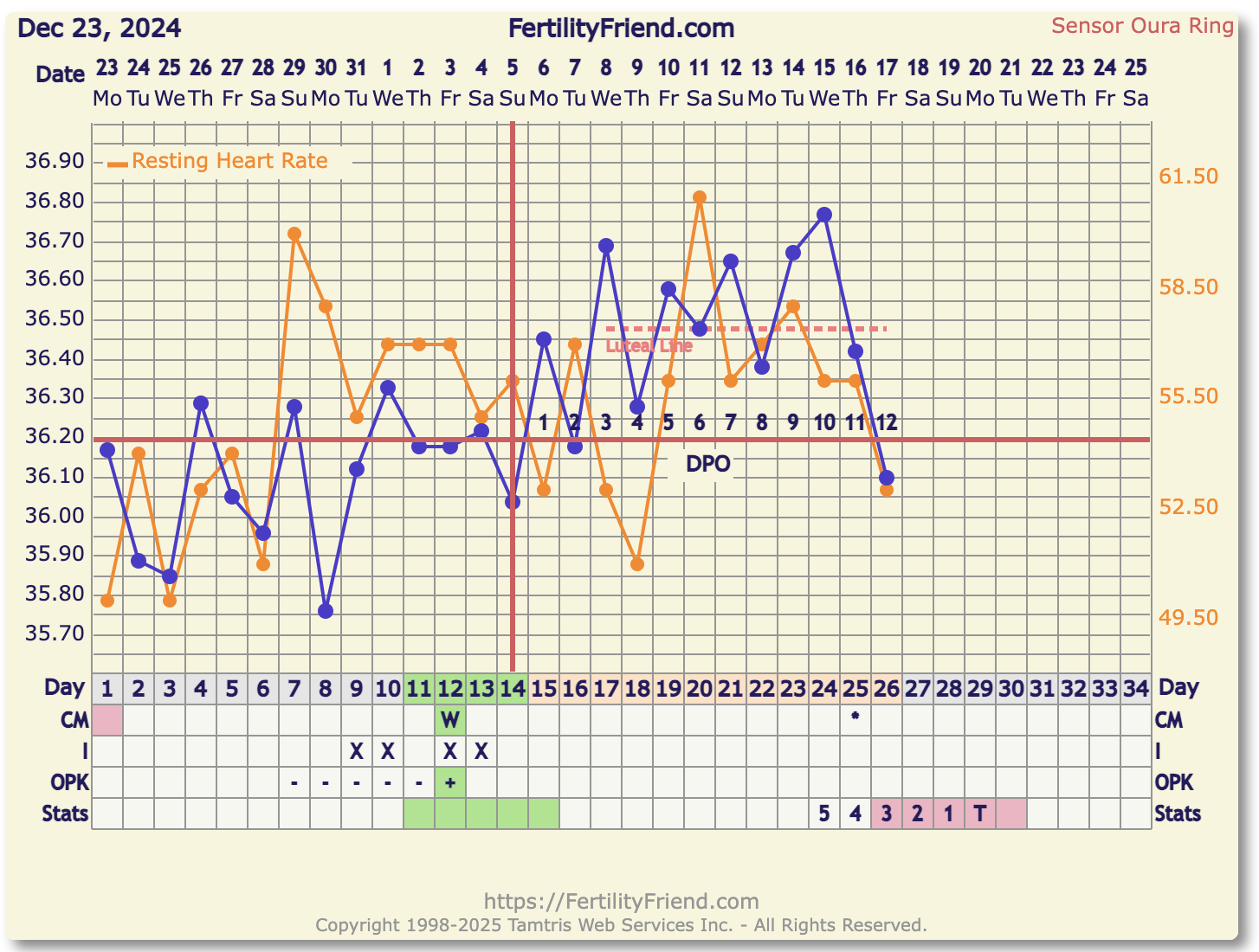 Screenshot 2025-01-17 at 8.31.38.png