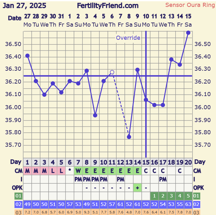 Screenshot 2025-02-15 135408.png