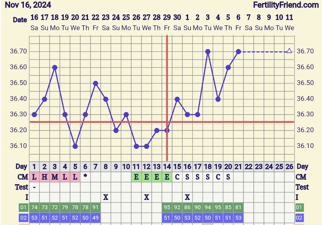 Screenshot_20241206_081758_FF App.jpg