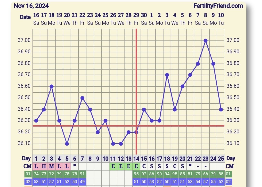 Screenshot_20241210_073051_FF App.jpg