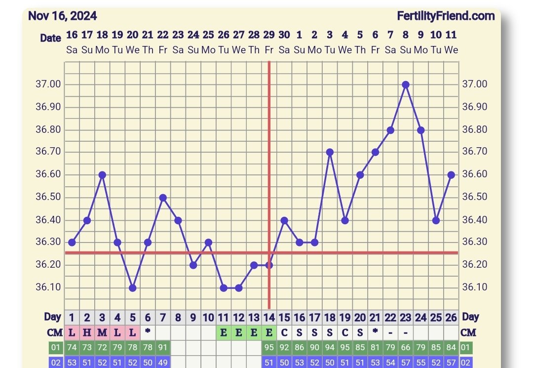 Screenshot_20241211_073228_FF App.jpg