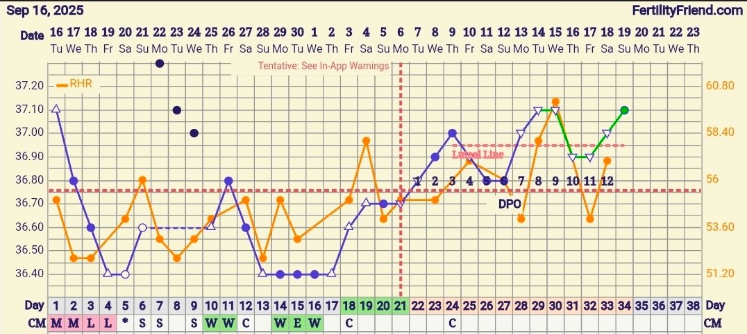 Screenshot_20251019_060526_FF App.jpg