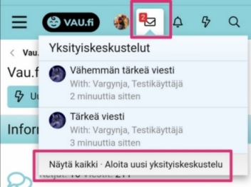 yksäri1.jpeg