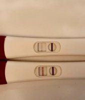 20210318_081556.jpg 20210318_081556.jpg