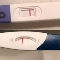 testi dpo 11.jpg