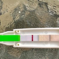 28181234-E1BA-48AC-8F6F-F835F9DEF287.jpeg 28181234-E1BA-48AC-8F6F-F835F9DEF287.jpeg