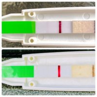 477D10AE-3637-45A5-9DED-C78584A5546E.jpeg 477D10AE-3637-45A5-9DED-C78584A5546E.jpeg