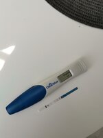 IMG_20210601_085327.jpg