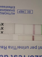 20210603_181244.jpg 20210603_181244.jpg