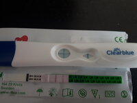 20210606_152721.jpg 20210606_152721.jpg