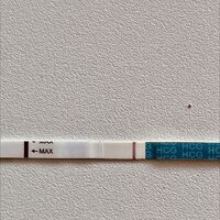 3C47B4F5-F0FF-4A0A-A4D5-9B83769F7264.jpeg 3C47B4F5-F0FF-4A0A-A4D5-9B83769F7264.jpeg