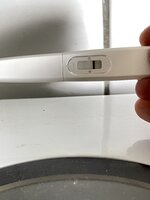 BBCB2B2F-3997-4D64-A185-455B7FE47826.jpeg BBCB2B2F-3997-4D64-A185-455B7FE47826.jpeg