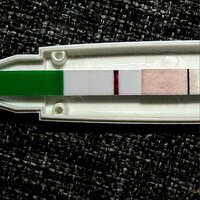 52E7CE3D-921E-4ED3-90AD-20D0CBCB4A9F.jpeg 52E7CE3D-921E-4ED3-90AD-20D0CBCB4A9F.jpeg