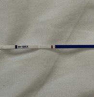 B109B0E6-8C63-4DF0-AE44-5105B123FEDA.jpeg B109B0E6-8C63-4DF0-AE44-5105B123FEDA.jpeg