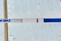 3411523C-2DEA-4995-82AC-BFBE27FAE0BC.jpeg 3411523C-2DEA-4995-82AC-BFBE27FAE0BC.jpeg