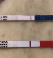 43D5D9D2-217E-42EC-B072-7D58AE965C6D.jpeg 43D5D9D2-217E-42EC-B072-7D58AE965C6D.jpeg