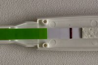 66E8DB7C-EE92-4B5C-8253-DBB1F1916D79.jpeg 66E8DB7C-EE92-4B5C-8253-DBB1F1916D79.jpeg