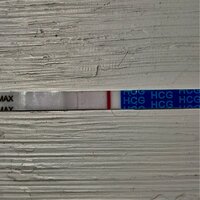 DC339091-CC8F-425C-AB61-6BD59F8BA898.jpeg DC339091-CC8F-425C-AB61-6BD59F8BA898.jpeg