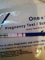 IMG_20210721_084734.jpg IMG_20210721_084734.jpg