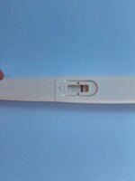 BA5EA424-66FE-460E-838F-1C3FD5341E97.jpeg BA5EA424-66FE-460E-838F-1C3FD5341E97.jpeg